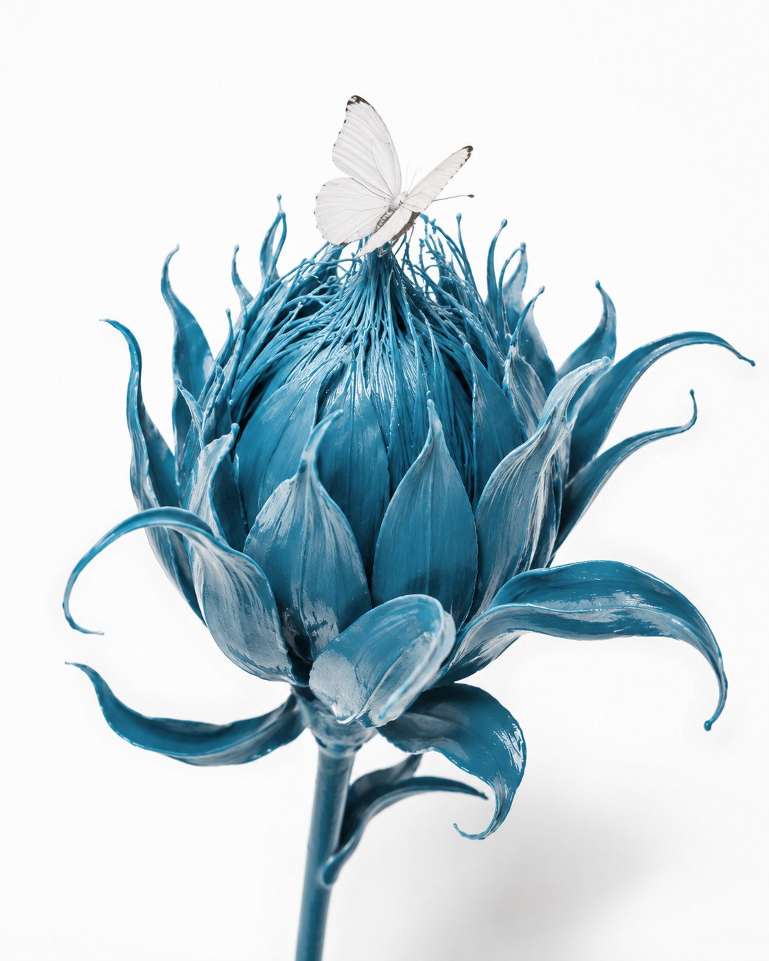 Digital marketing services integrating strategy, creative production and optimisation.